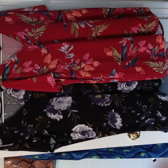 Bundle of Two Christian Siriano Plus Sizes Dresses - Picture 2 of 12